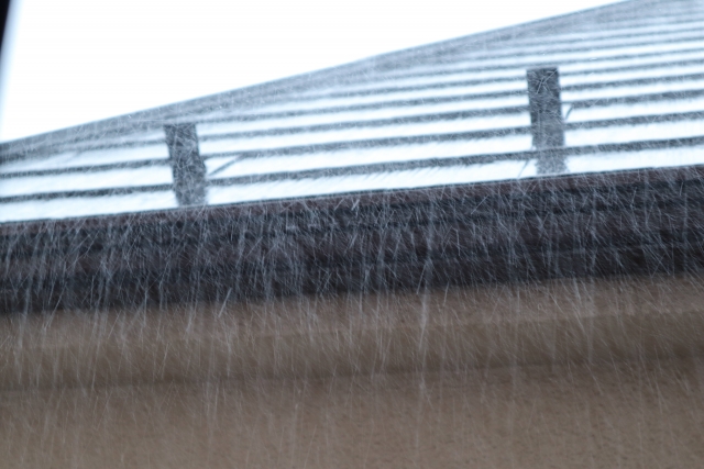 梅雨　雨